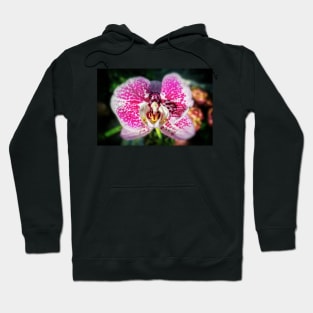 Pink-Spotted Orchid Hoodie